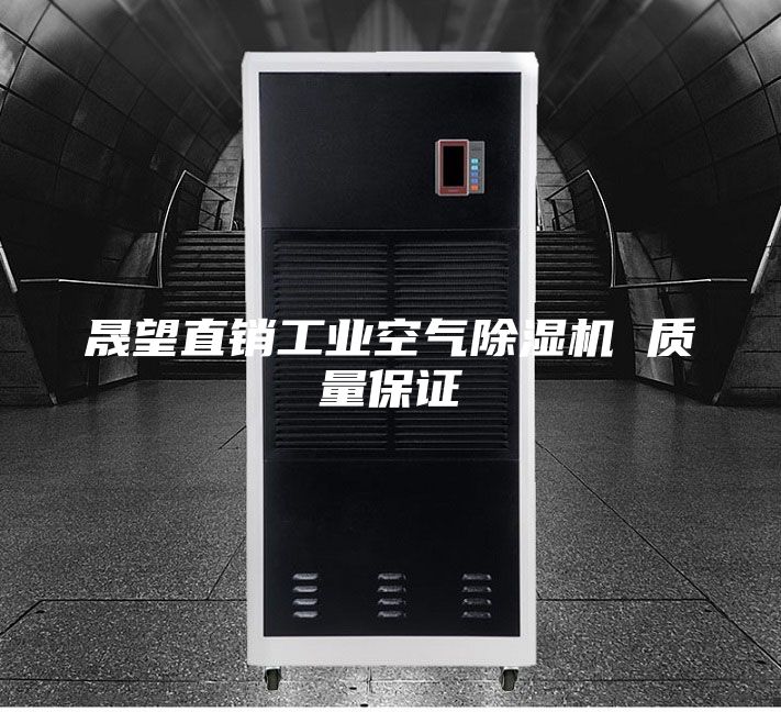 晟望直销工业空气除湿机 质量保证