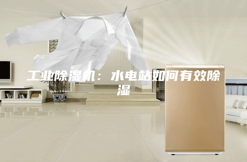 工业除湿机：水电站如何有效除湿