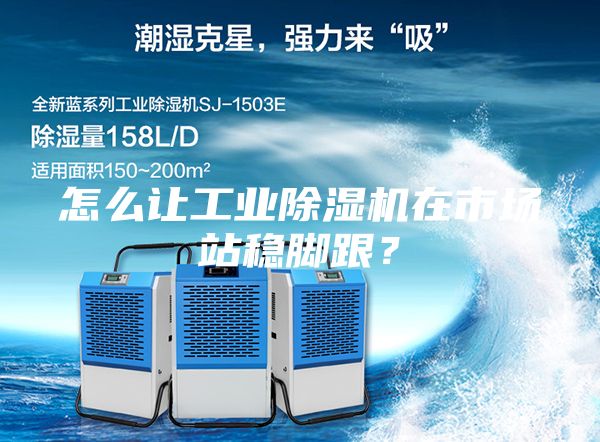 怎么让工业除湿机在市场站稳脚跟?