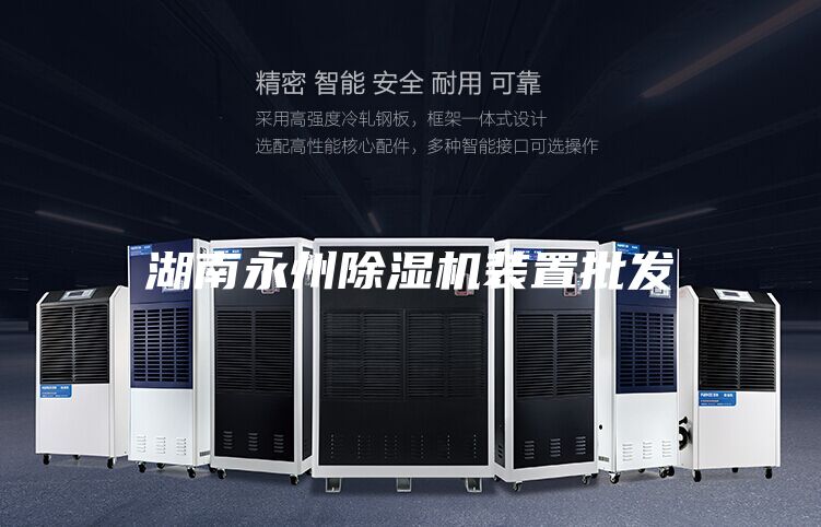 湖南永州除湿机装置批发
