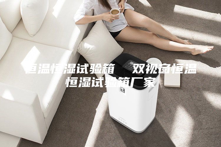 恒温恒湿试验箱 双视窗恒温恒湿试验箱厂家
