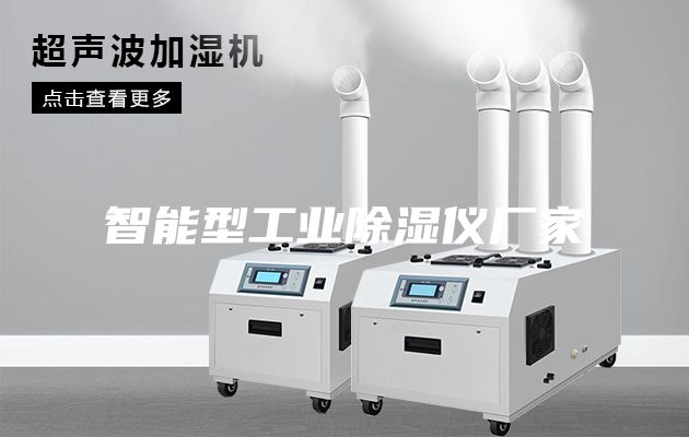 智能型工业除湿仪厂家
