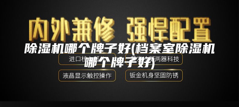 除湿机哪个牌子好(档案室除湿机哪个牌子好)