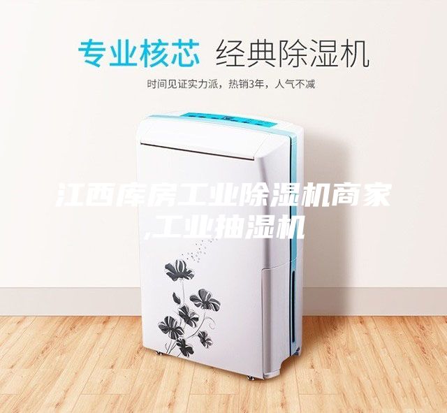 江西库房工业除湿机商家,工业抽湿机