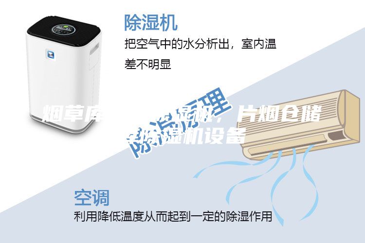 烟草库专用除湿机,片烟仓储库除湿机设备