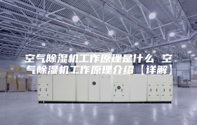 空气除湿机工作原理是什么 空气除湿机工作原理介绍【详解】