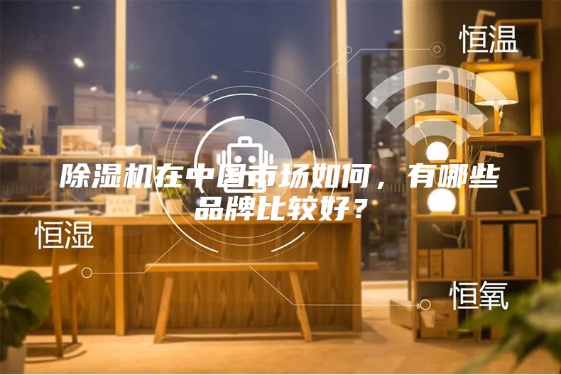 除湿机在中国市场如何，有哪些品牌比较好？