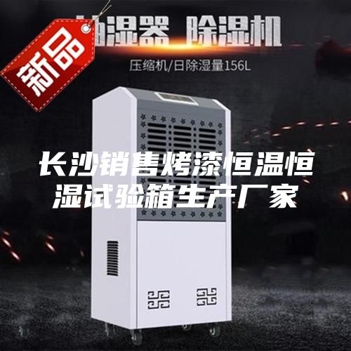 长沙销售烤漆恒温恒湿试验箱生产厂家