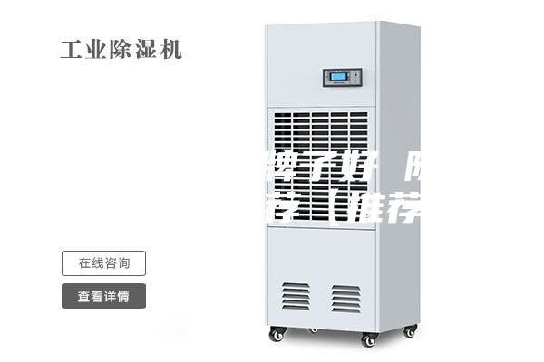 除湿机哪个牌子好 除湿机品牌推荐【推荐】