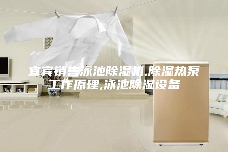 宜宾销售泳池除湿机,除湿热泵工作原理,泳池除湿设备