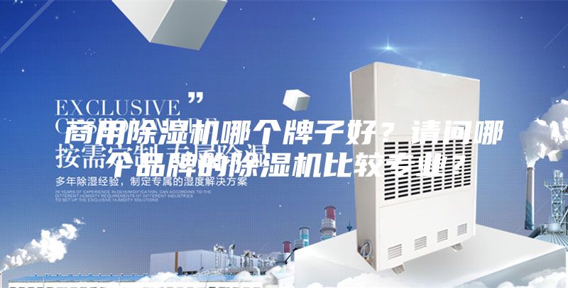 商用除湿机哪个牌子好?请问哪个品牌的除湿机比较专业?