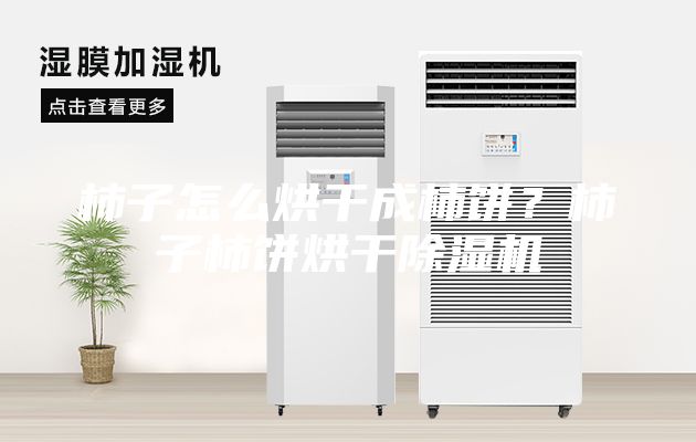 柿子怎么烘干成柿饼？柿子柿饼烘干除湿机