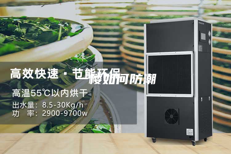 一楼如何防潮