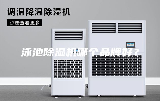 泳池除湿机哪个品牌好？