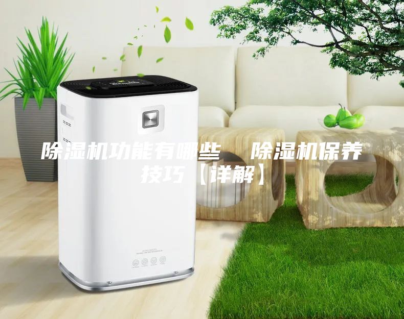 除湿机功能有哪些  除湿机保养技巧【详解】