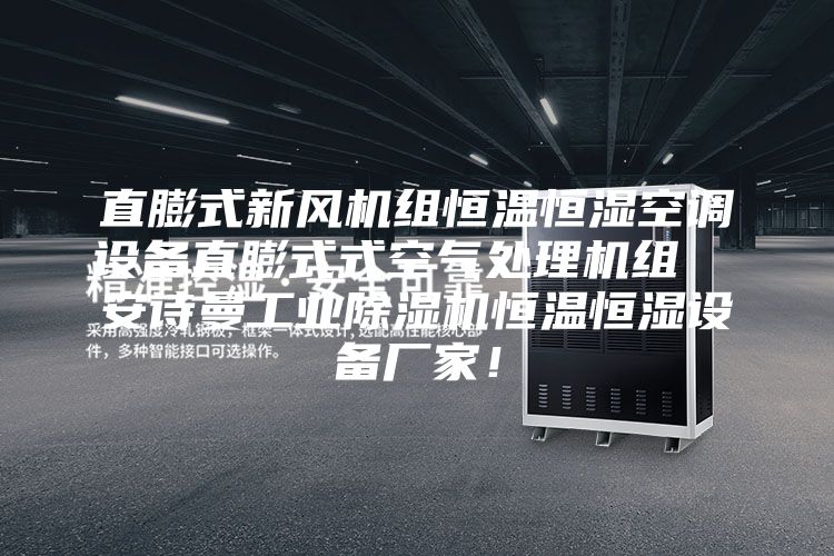 直膨式新风机组恒温恒湿空调设备直膨式式空气处理机组  安诗曼工业除湿机恒温恒湿设备厂家！