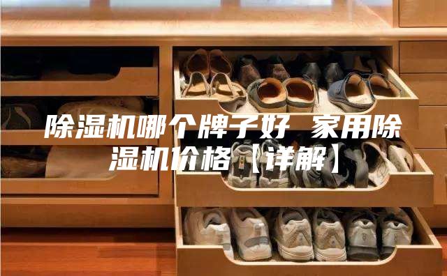 除湿机哪个牌子好 家用除湿机价格【详解】