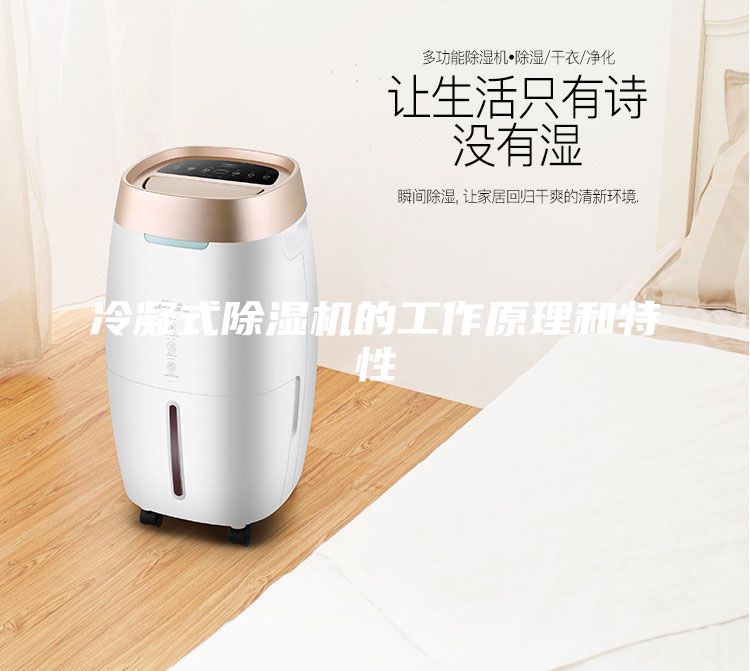 冷凝式除湿机的工作原理和特性
