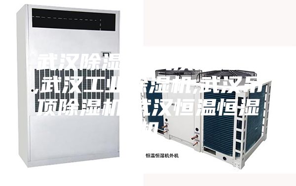 武汉除湿机,武汉加湿器,武汉工业除湿机,武汉吊顶除湿机,武汉恒温恒湿机