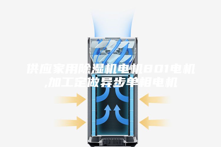 供应家用除湿机电机801电机,加工定做异步单相电机