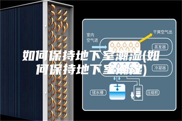 如何保持地下室潮湿(如何保持地下室潮湿)