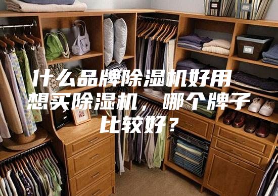 什么品牌除湿机好用 想买除湿机，哪个牌子比较好？