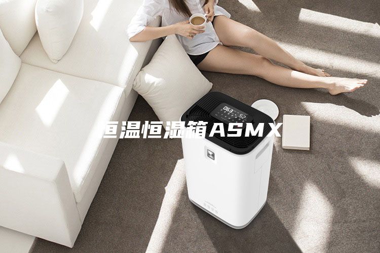 恒温恒湿箱ASMX