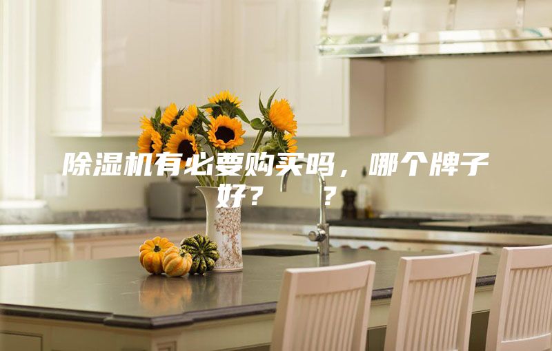 除湿机有必要购买吗，哪个牌子好？  ？