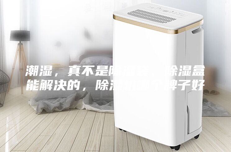 潮湿，真不是除湿袋、除湿盒能解决的，除湿机哪个牌子好