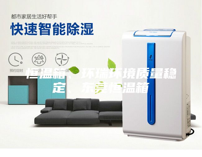 恒温箱、环瑞环境质量稳定、东莞恒温箱