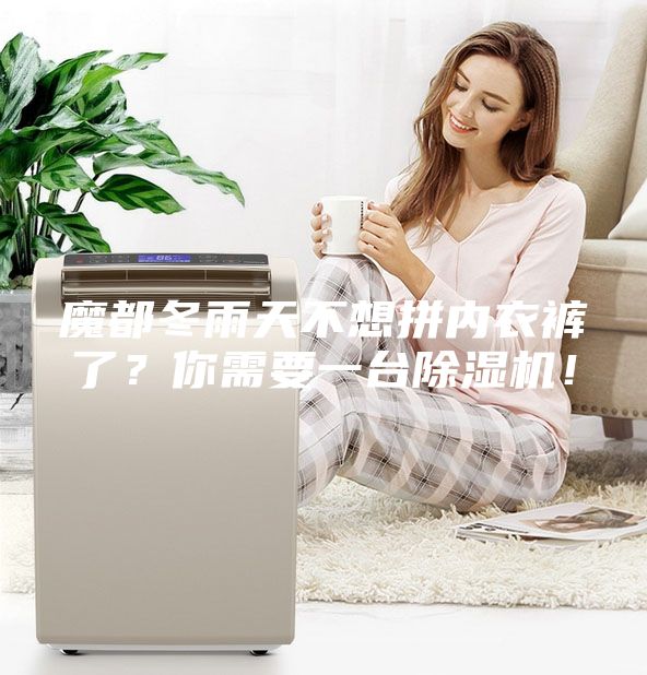 魔都冬雨天不想拼内衣裤了？你需要一台除湿机！