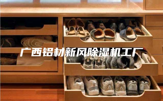 广西铝材新风除湿机工厂