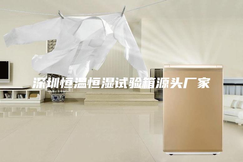 深圳恒温恒湿试验箱源头厂家