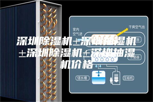 深圳除湿机±深圳抽湿机±深圳除湿机±深圳抽湿机价格