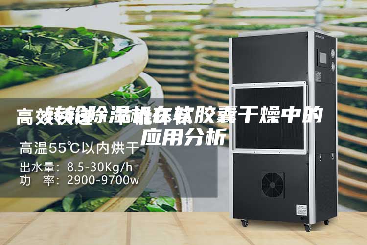 转轮除湿机在软胶囊干燥中的应用分析