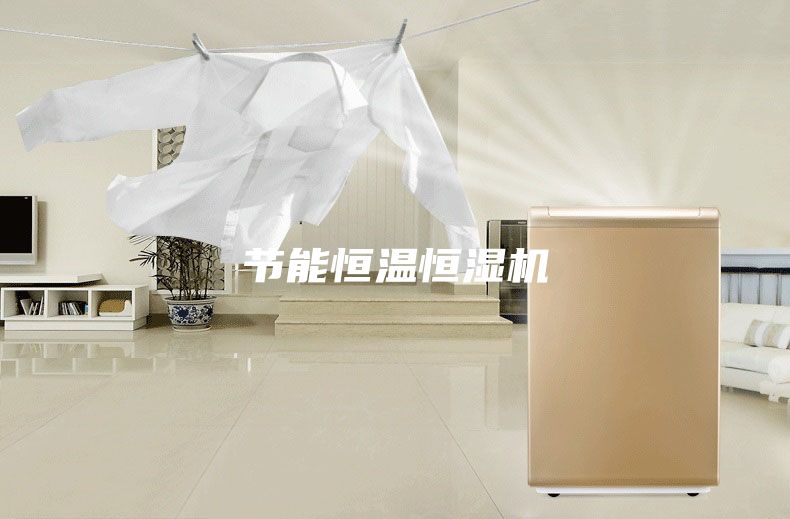 节能恒温恒湿机