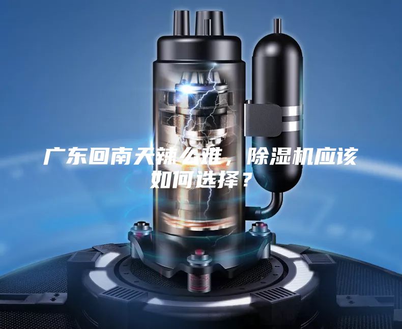 广东回南天辣么难，除湿机应该如何选择？