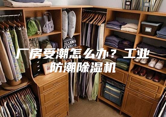 厂房受潮怎么办？工业防潮除湿机