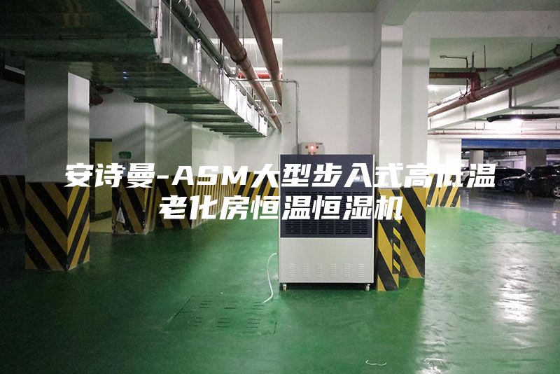 安诗曼-ASM大型步入式高低温老化房恒温恒湿机