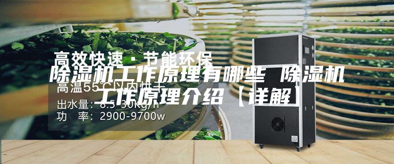 除湿机工作原理有哪些 除湿机工作原理介绍【详解】