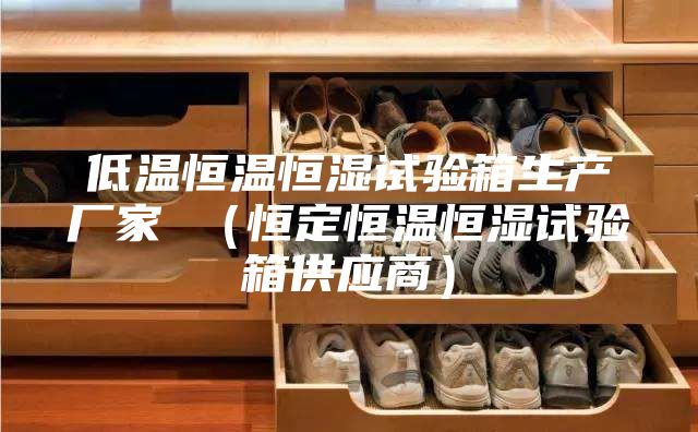 低温恒温恒湿试验箱生产厂家 （恒定恒温恒湿试验箱供应商）