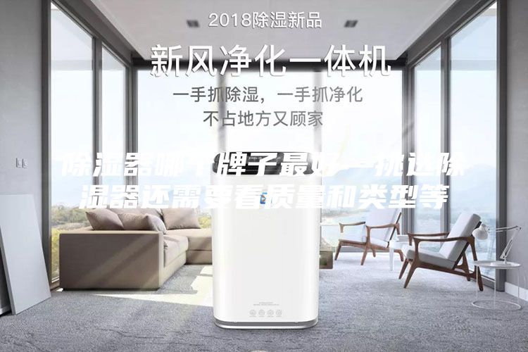 除湿器哪个牌子最好—挑选除湿器还需要看质量和类型等