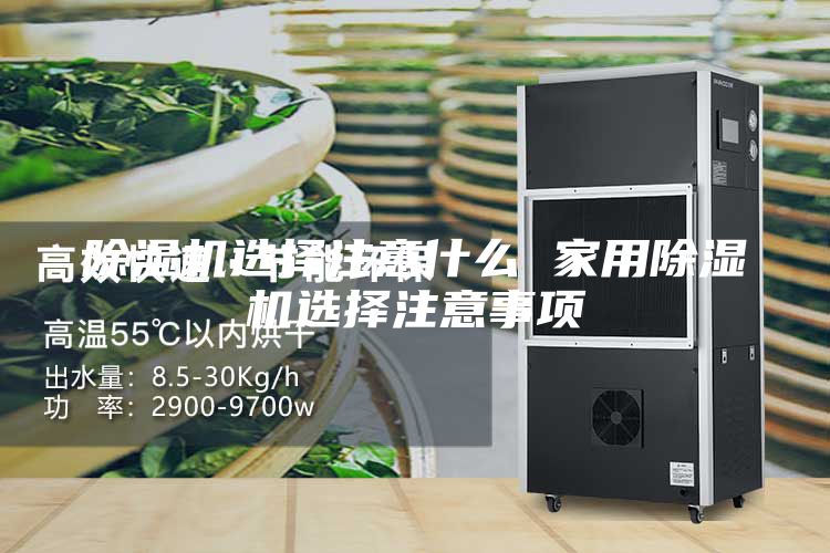 除湿机选择注意什么 家用除湿机选择注意事项