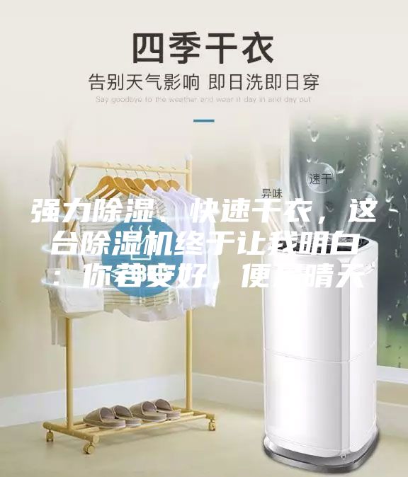 强力除湿、快速干衣，这台除湿机终于让我明白：你若安好，便是晴天