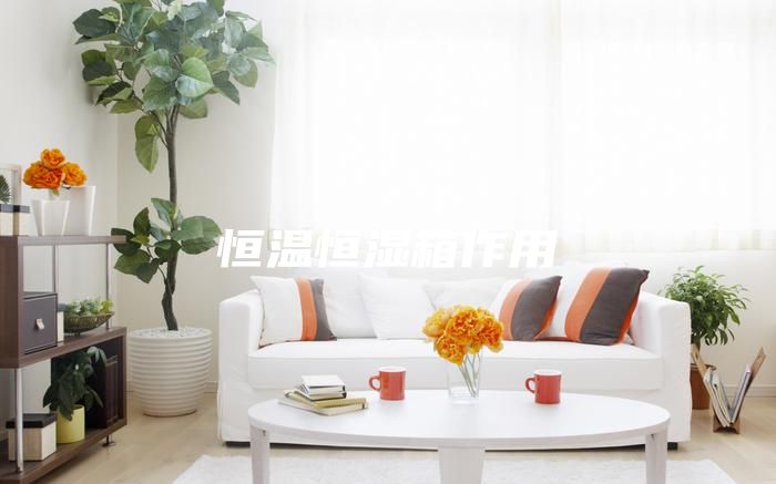 恒温恒湿箱作用