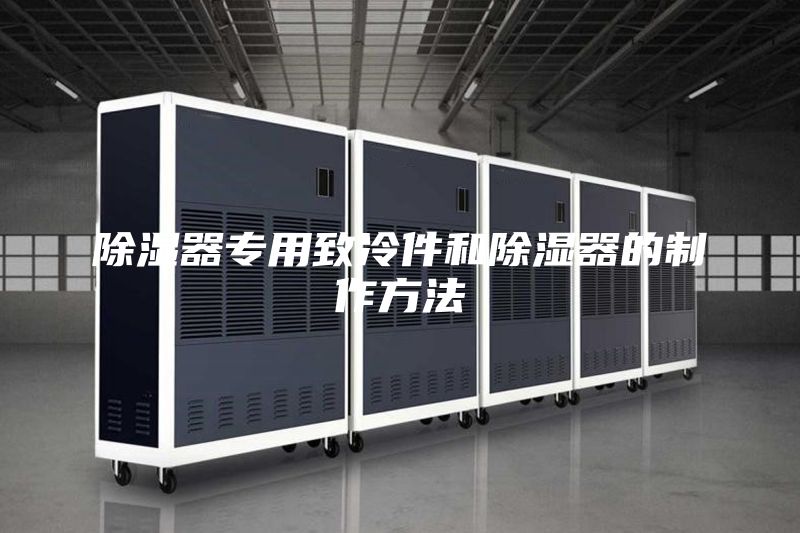 除湿器专用致冷件和除湿器的制作方法