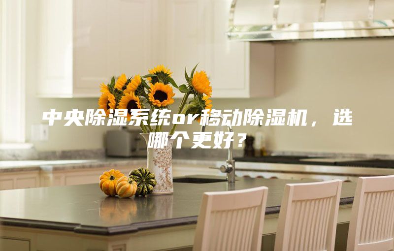 中央除湿系统or移动除湿机，选哪个更好？