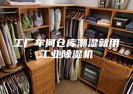 工厂车间仓库潮湿就用工业除湿机
