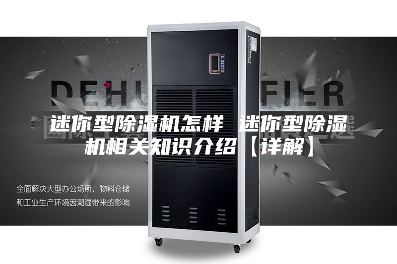 迷你型除湿机怎样 迷你型除湿机相关知识介绍【详解】