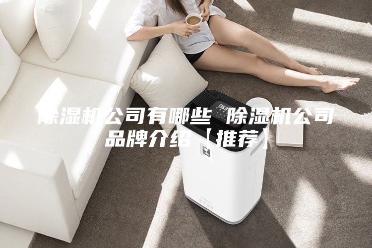 除湿机公司有哪些 除湿机公司品牌介绍【推荐】